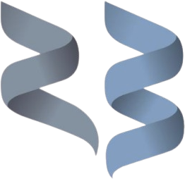 رند بازار